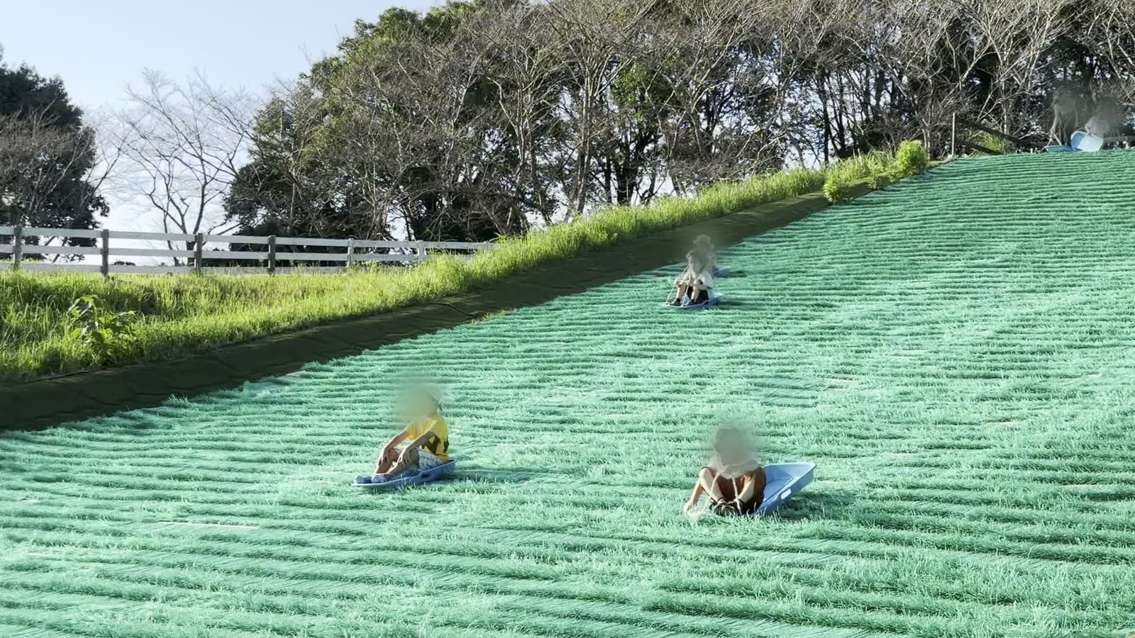 芝すべりの斜面をソリで滑る様子