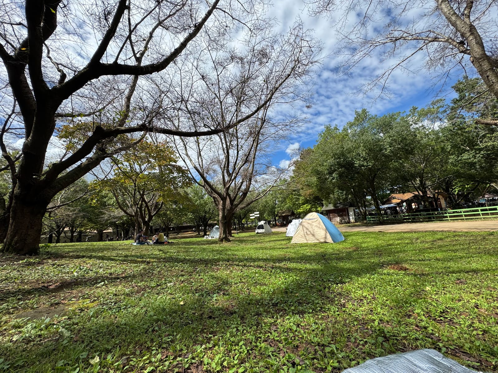 木々と芝生が広がる園内の休憩エリア