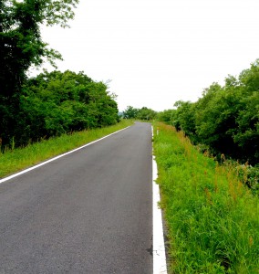 緑に囲まれたサイクリングロード