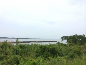 kasumigaura2015_05