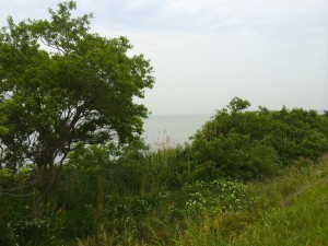 kasumigaura2015_12